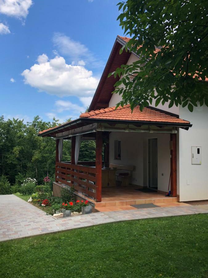 D.I.M. Holiday House Seliste Dreznicko Bagian luar foto